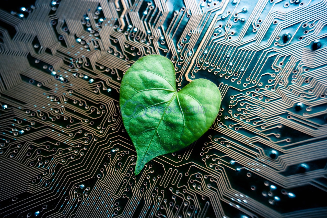 “Зелёные” вычисления: будущее IT